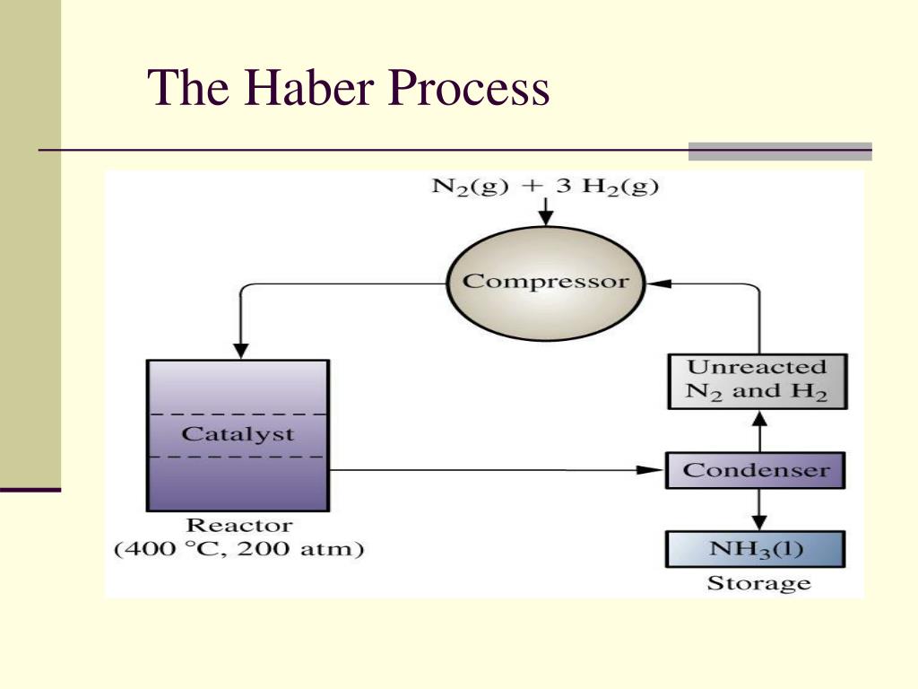 haber process assignment