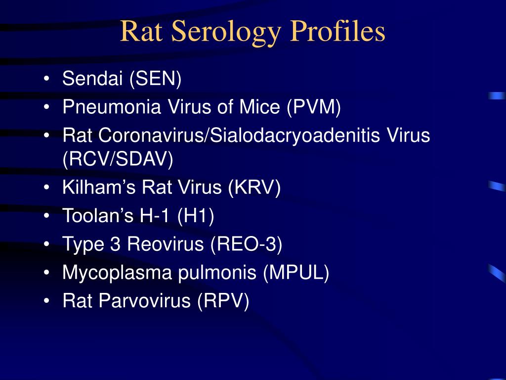Rat вирус. Rat вирус купить. Most challenging questions about Parvovirus.