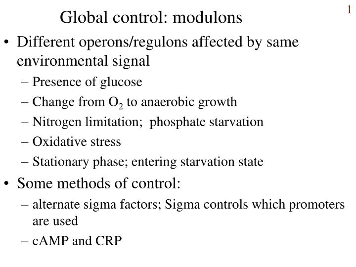 global control modulons n.