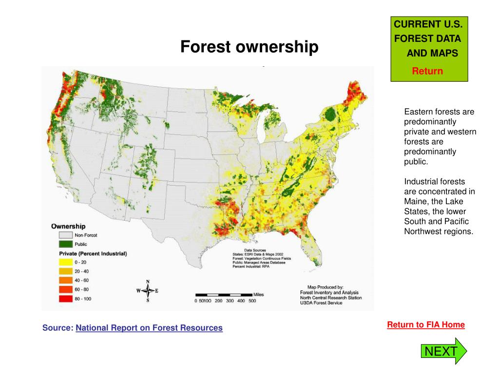 PPT - CURRENT U.S. FOREST DATA AND MAPS PowerPoint Presentation, free ...