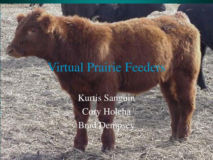 virtual prairie feeders n.