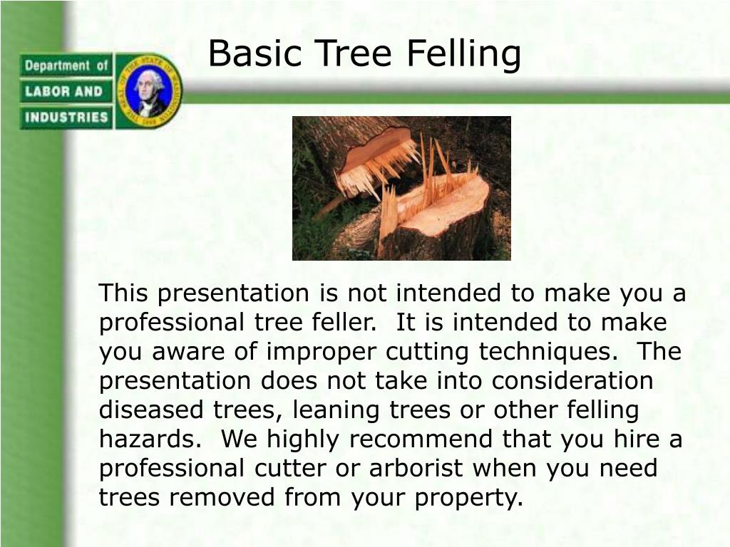PPT - Basic Tree Felling PowerPoint Presentation, free download