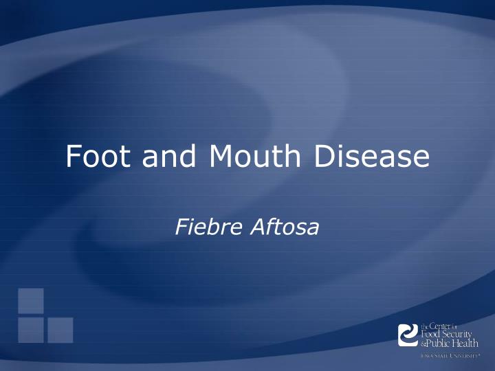 foot and mouth disease n.