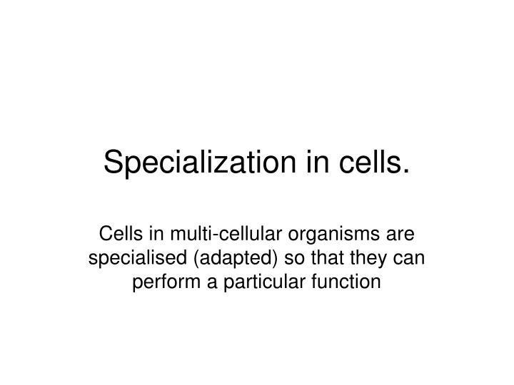 specialization in cells n.