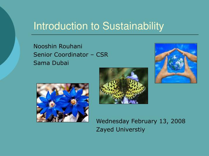 introduction to sustainability n.