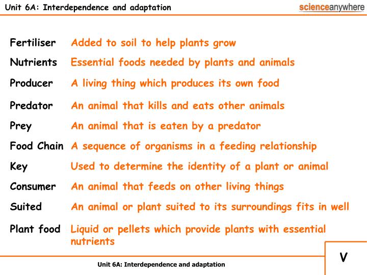 PPT - Unit 6A: Interdependence and adaptation PowerPoint Presentation, free  download - ID:330554