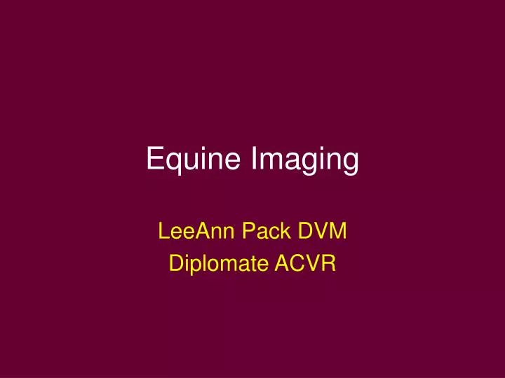 equine imaging n.