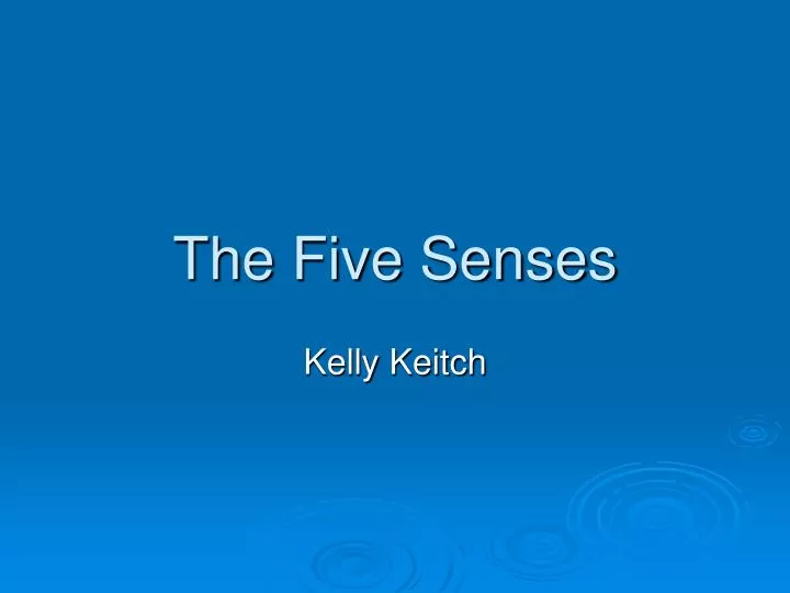 the five senses n.