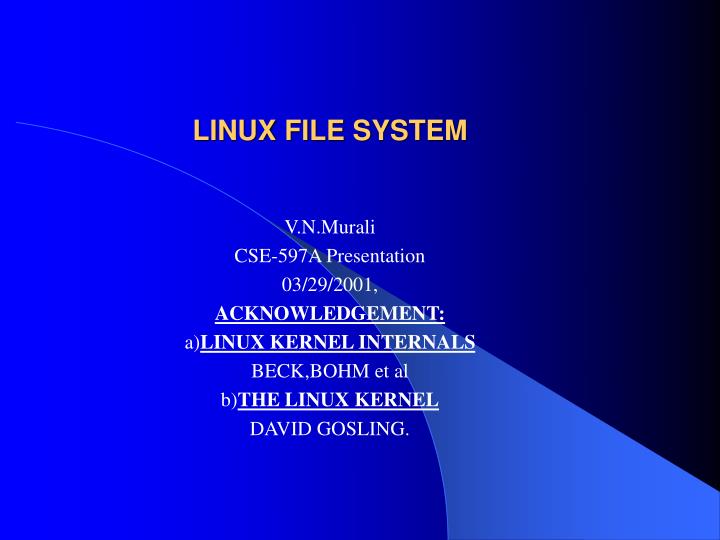 linux file system n.