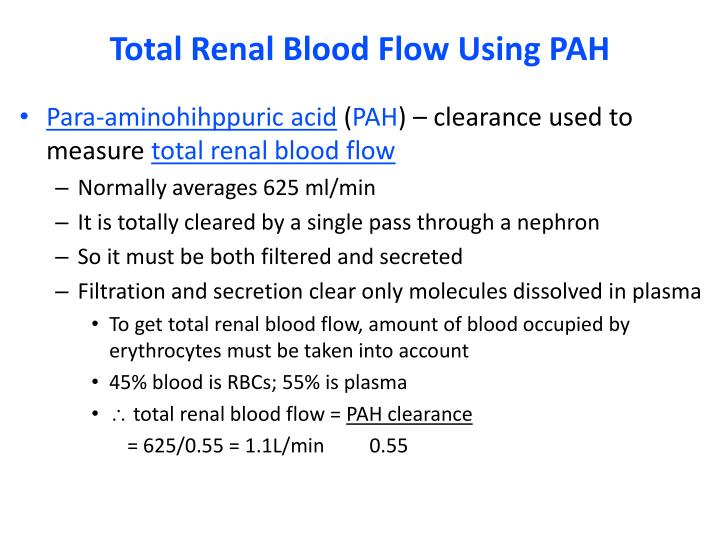 PPT The Urinary System PowerPoint Presentation ID331709