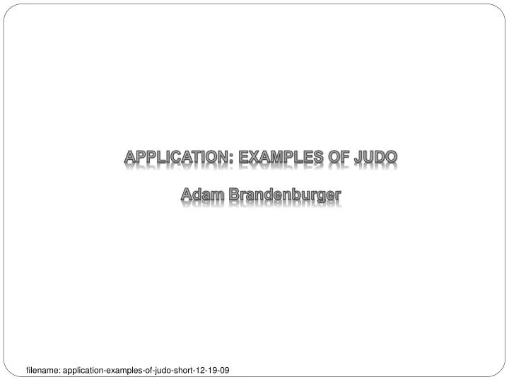 application examples of judo adam brandenburger n.
