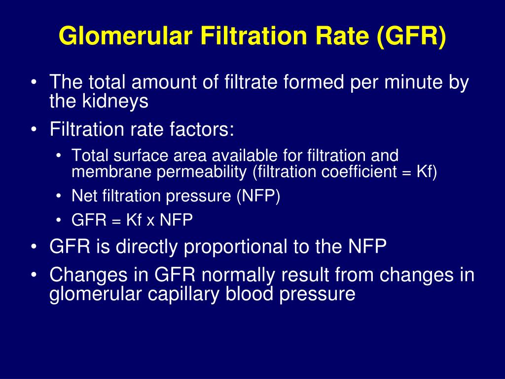 PPT Renal Physiology PowerPoint Presentation, free download ID332876