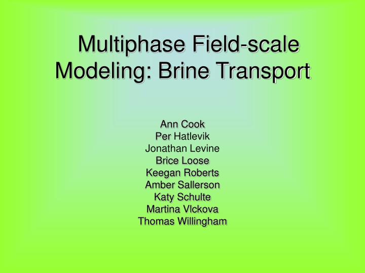 multiphase field scale modeling brine transport n.