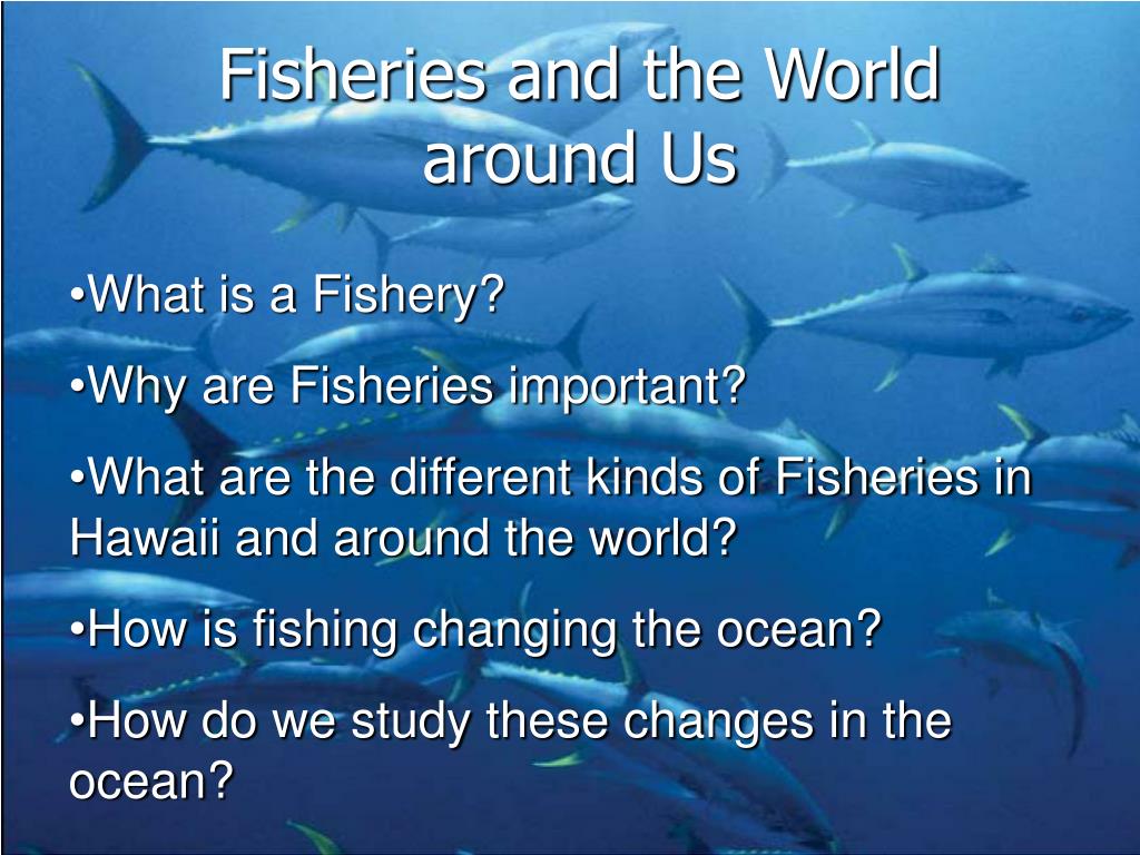 PPT - Fisheries and the World around Us PowerPoint Presentation