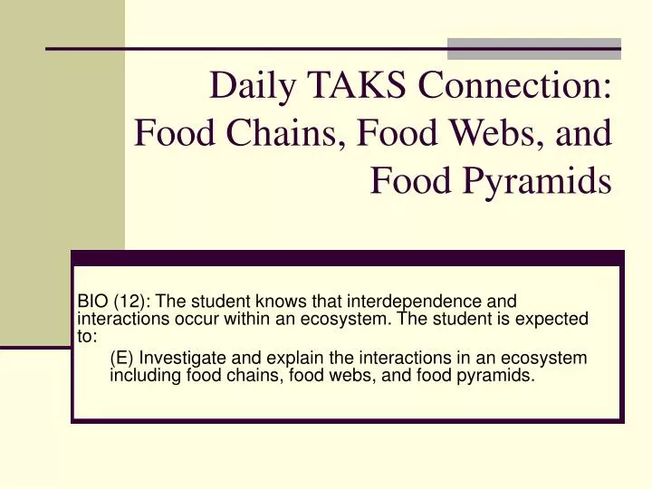 daily taks connection food chains food webs and food pyramids n.
