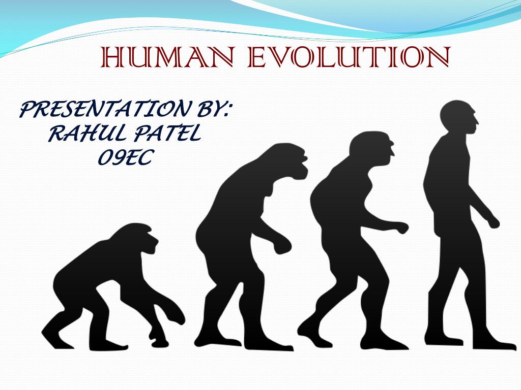 presentation about evolution ppt