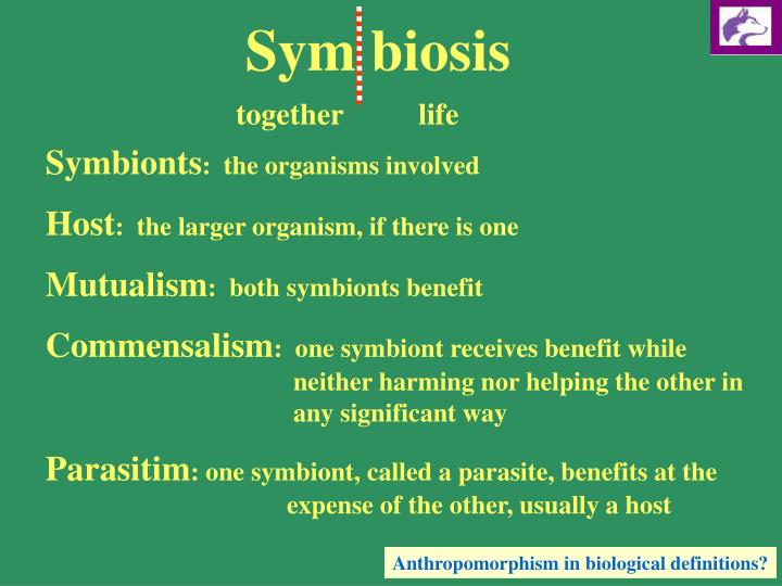 Ppt Symbiosis Powerpoint Presentation Free Download Id 334345