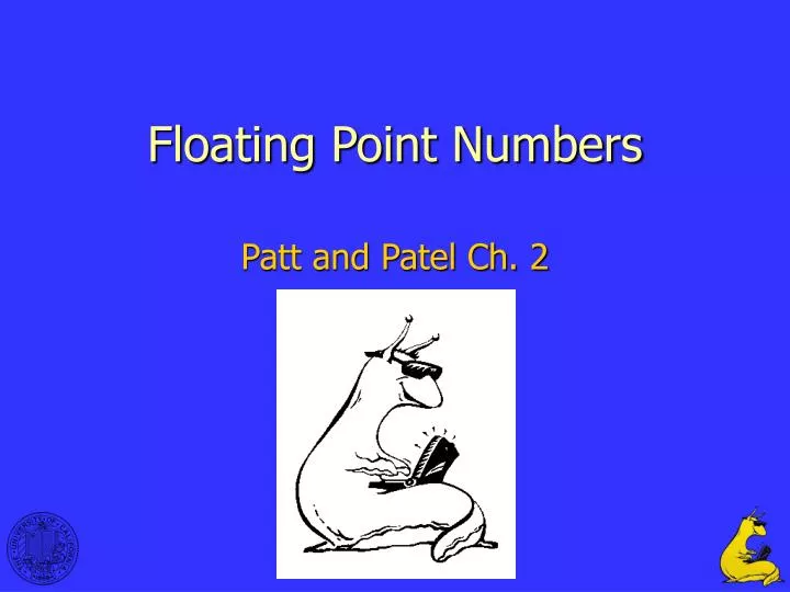 floating point numbers n.