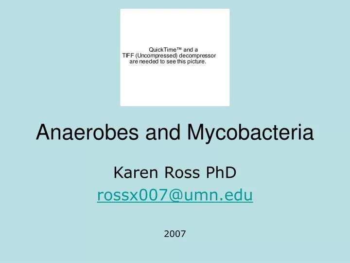 anaerobes and mycobacteria n.