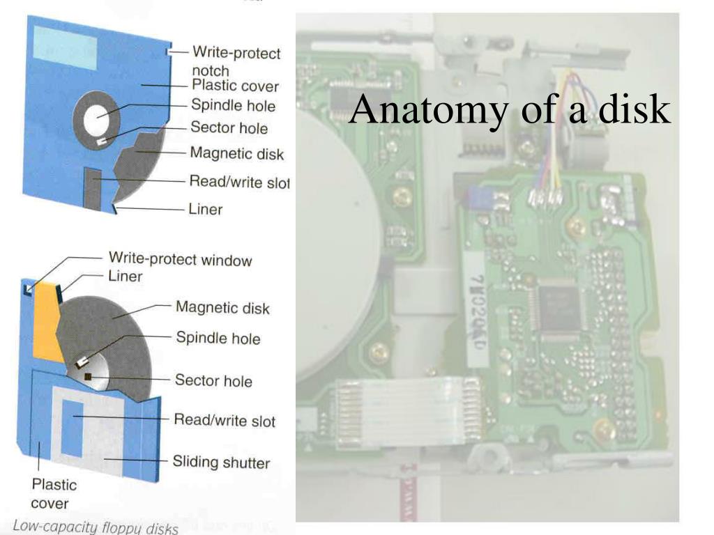 PPT - Floppy Disk Drive PowerPoint Presentation, Free Download - ID:336290