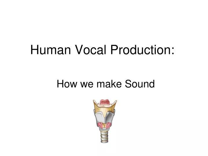 human vocal production n.