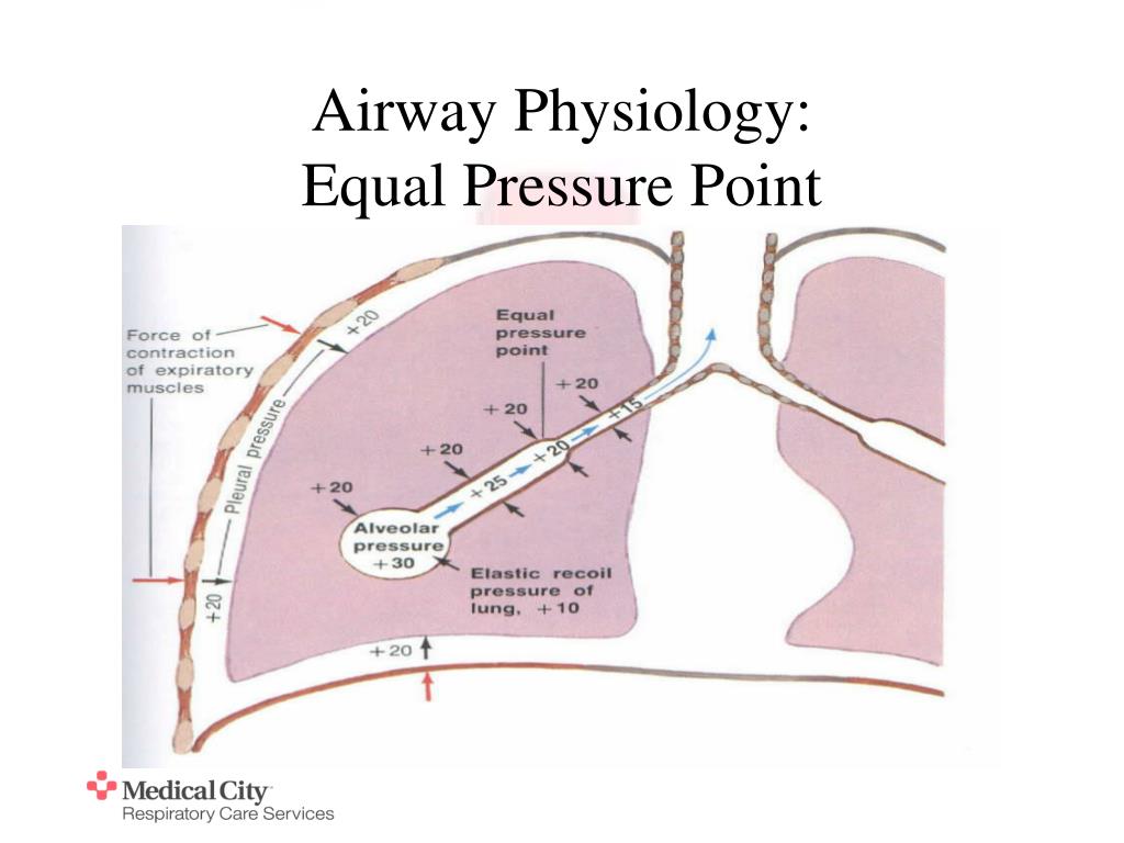 PPT - Methods High-Frequency Assisted Airway Clearance PowerPoint Presentation - ID:336692