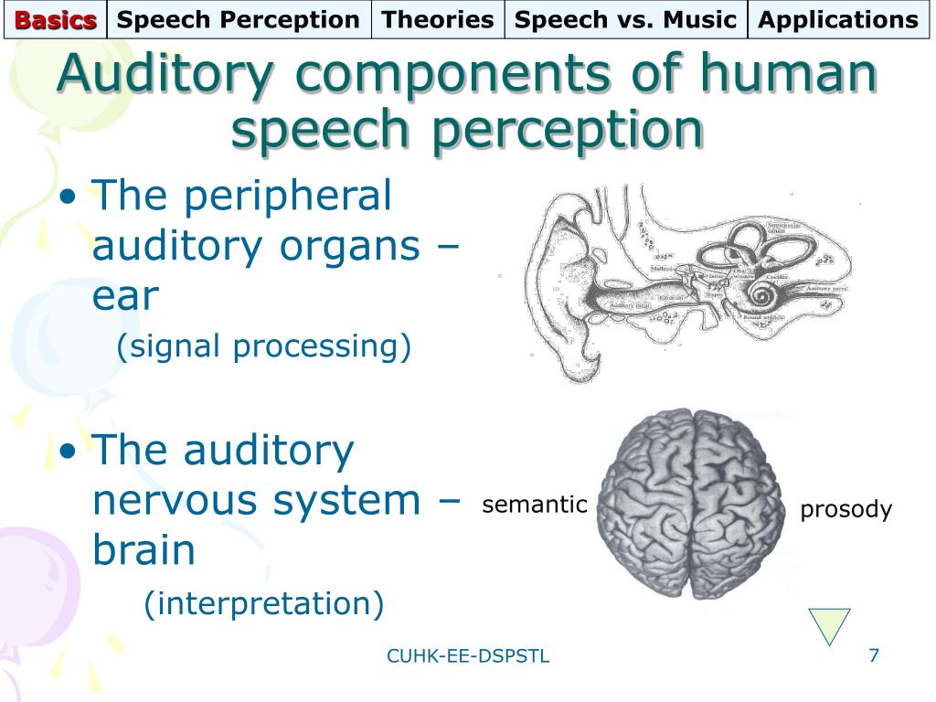 PPT - An Introduction to Speech Perception PowerPoint Presentation ...