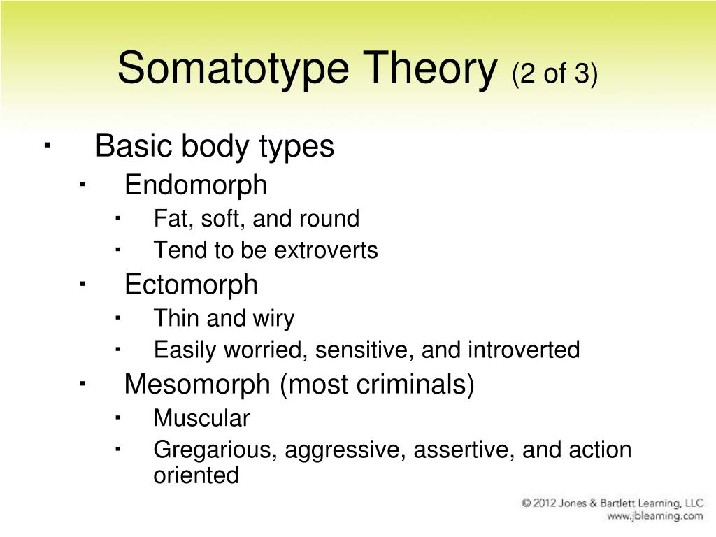 how to find out your somatotype
