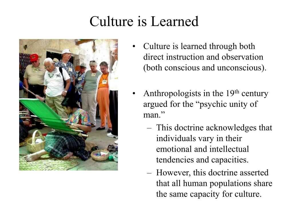 culture is learned essay brainly