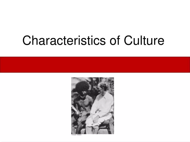 characteristics of culture n.