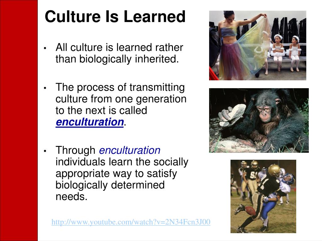 why culture is learned