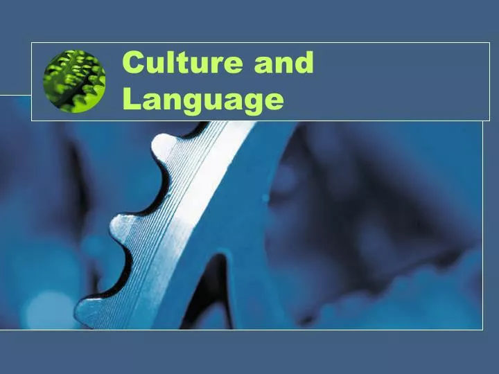 culture and language n.