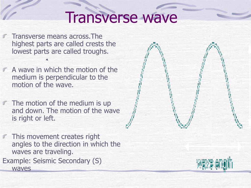 Ppt How Does One Differentiate Between Transverse And Longitudinal Waves 7 11 6 Powerpoint Presentation Id 339950