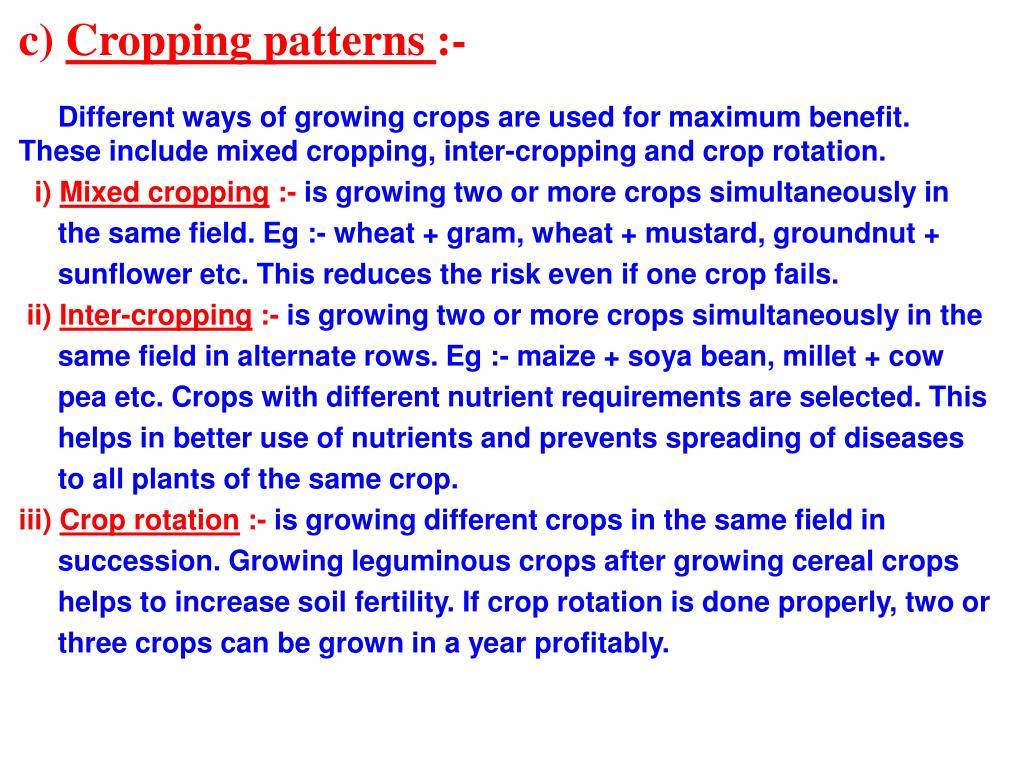 essay on improvement in food resources