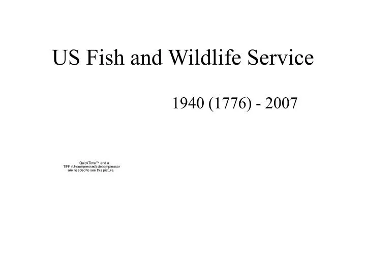us fish and wildlife service n.