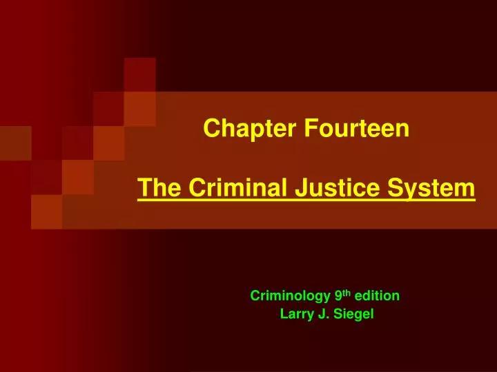 chapter fourteen the criminal justice system n.