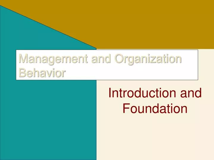 management and organization behavior n.