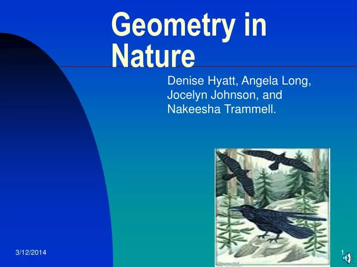 geometry in nature n.
