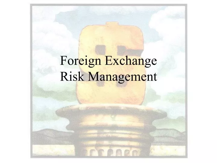 foreign exchange risk management n.