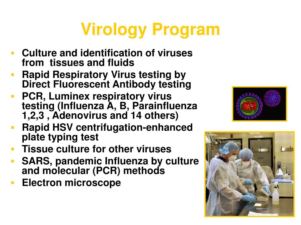 Ppt Virology Program Powerpoint Presentation Free Download Id341816