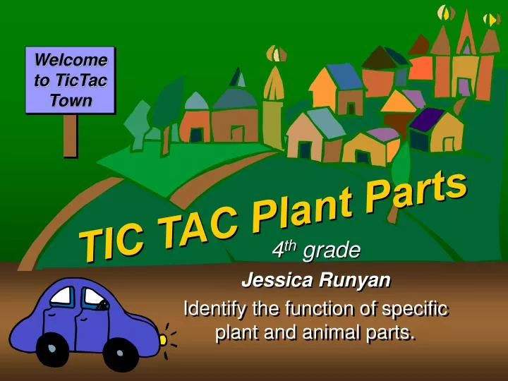 tic tac plant parts n.