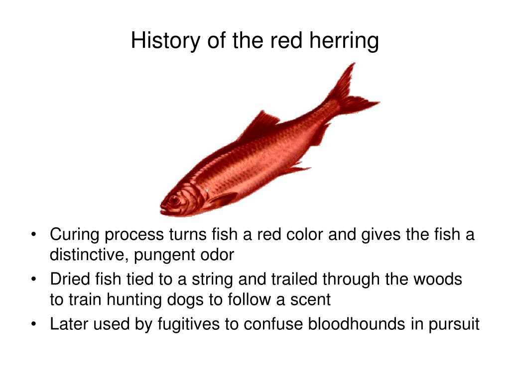 define red herring fallacy