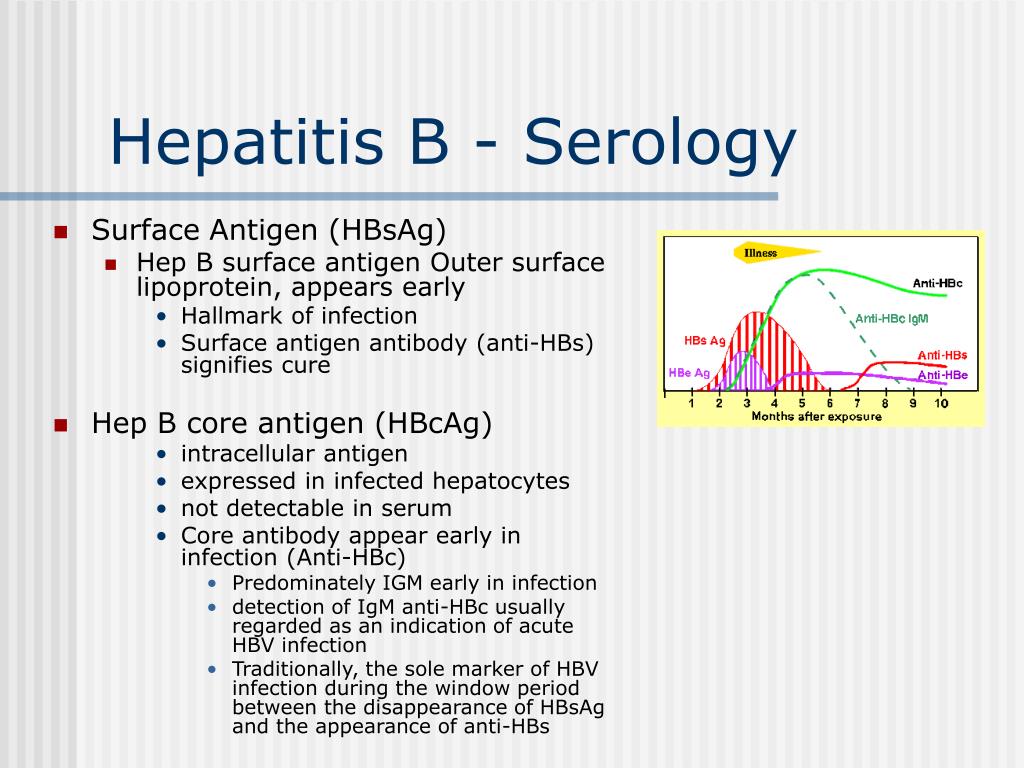 how to cure hepatitis b surface antigen