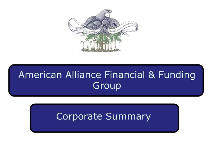 american alliance financial funding group n.