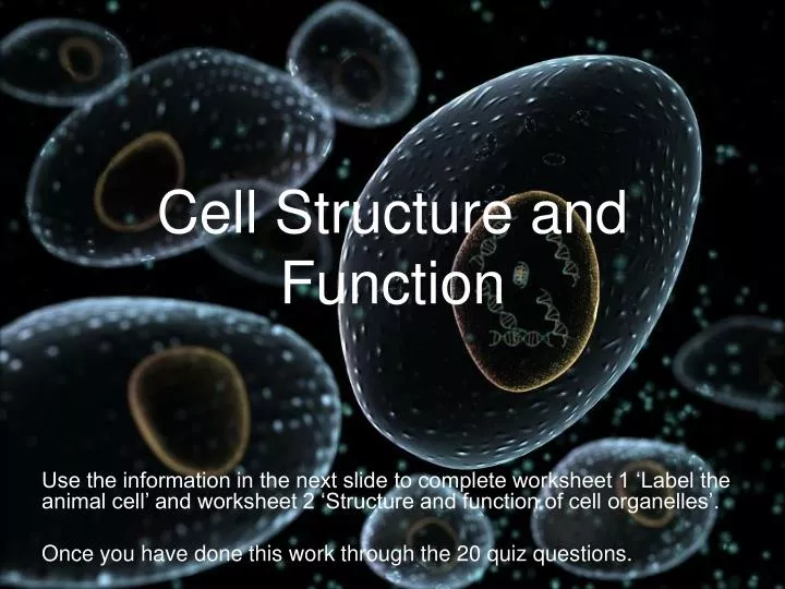 cell structure and function n.