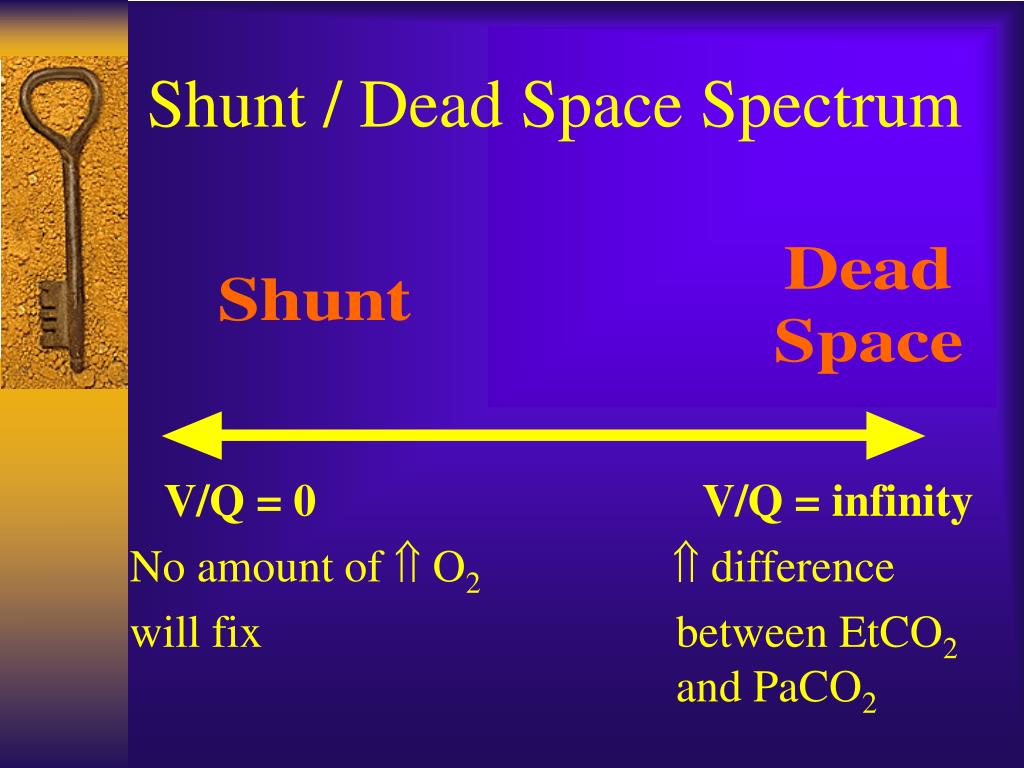 shunt vs dead space 100 oxygen