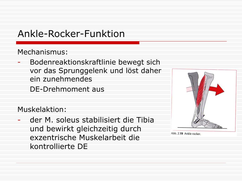 PPT - Ganganalyse in der Physiotherapie PowerPoint Presentation, free  download - ID:343776