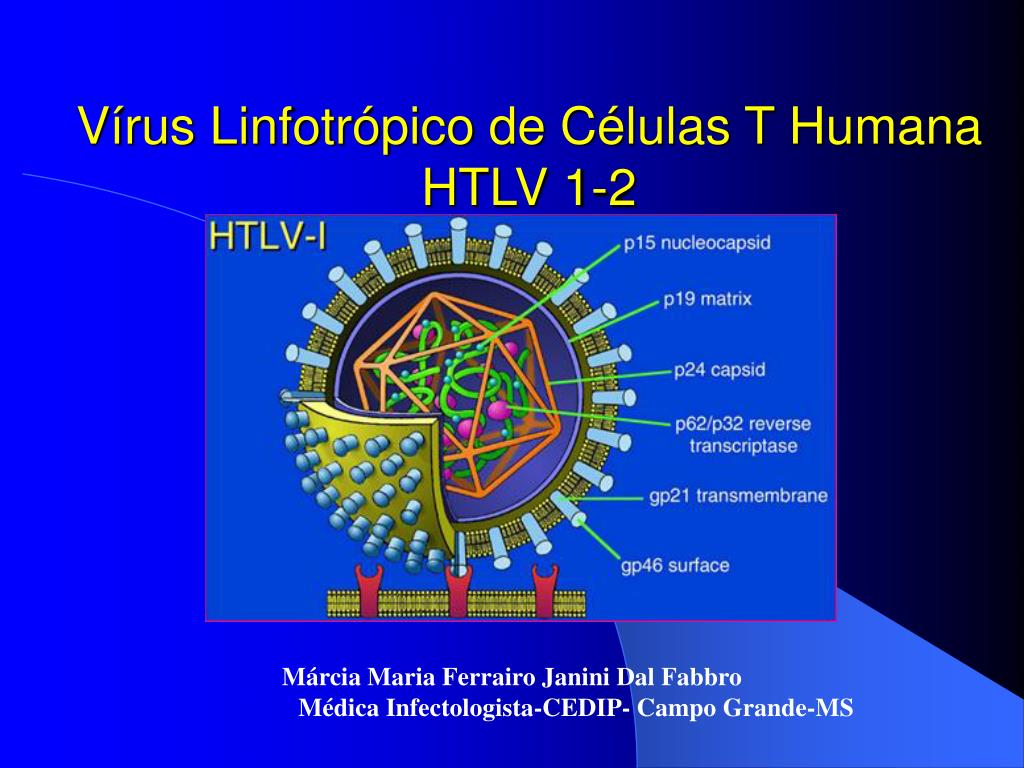 Ppt Vírus Linfotrópico De Células T Humana Htlv 1 2 Powerpoint Presentation Id343962 6127