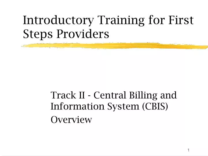 introductory training for first steps providers n.