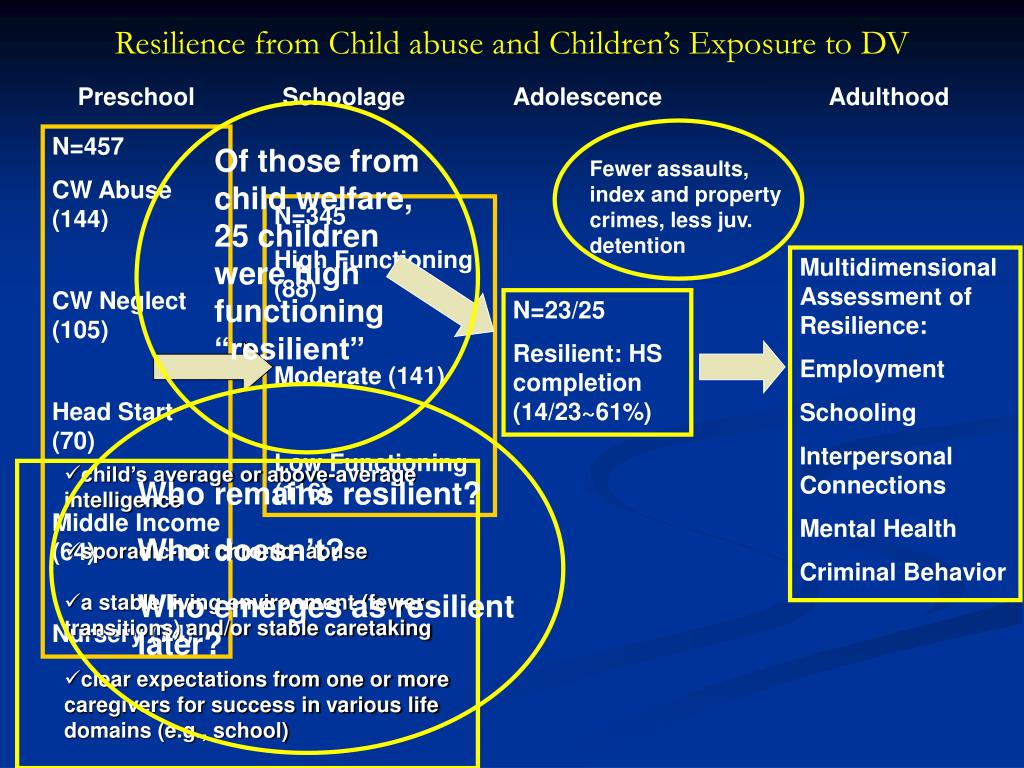 PPT - Resilience from Child Abuse and Childhood Exposure to Domestic ...